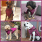 🐶Hot Sale -50% OFF🔥3 in 1 Winter Waterproof Warm Dog Jacket With Built-in Harness