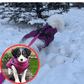 🐶Hot Sale -50% OFF🔥3 in 1 Winter Waterproof Warm Dog Jacket With Built-in Harness