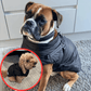 🐶Hot Sale -50% OFF🔥3 in 1 Winter Waterproof Warm Dog Jacket With Built-in Harness