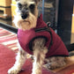 🐶Hot Sale -50% OFF🔥3 in 1 Winter Waterproof Warm Dog Jacket With Built-in Harness