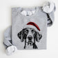 🎄🎅CHRISTMAS SPECIAL PRICE: ￡10.99!!🎁Santa Paws Christmas Dog Sweatshirt🐶