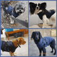 🐶Hot Sale -50% OFF🔥3 in 1 Winter Waterproof Warm Dog Jacket With Built-in Harness