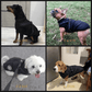 🐶Hot Sale -50% OFF🔥3 in 1 Winter Waterproof Warm Dog Jacket With Built-in Harness